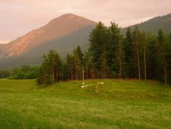 2013-06-22_Hirschhoerndl_Jochberg (586).JPG